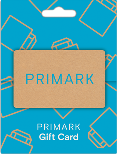 Primark Generic Blue Bag